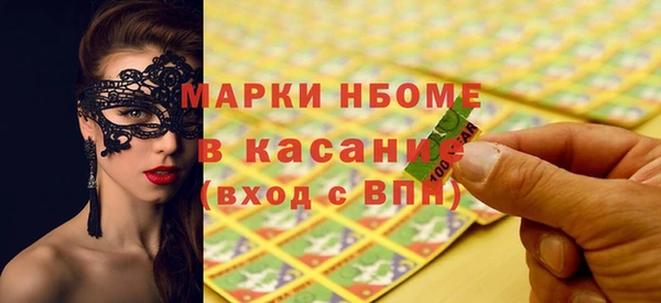 индика Ельня