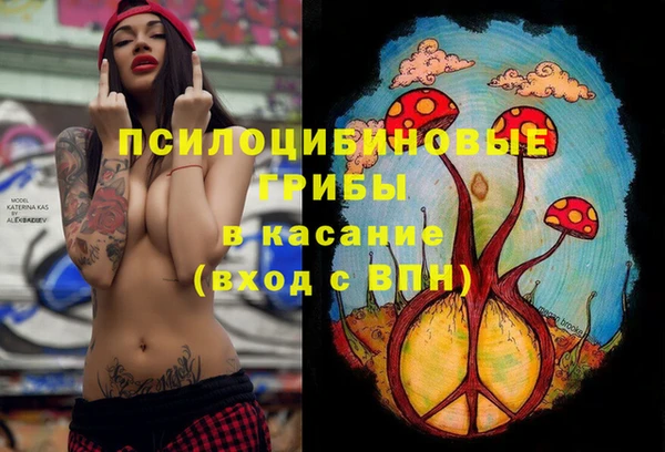круглые Елизово