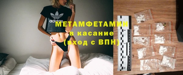 индика Ельня