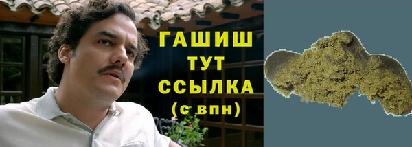 индика Ельня