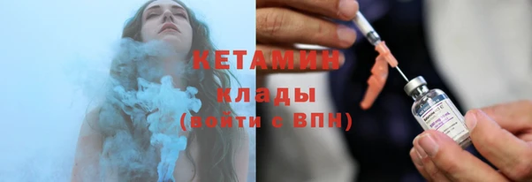 индика Ельня
