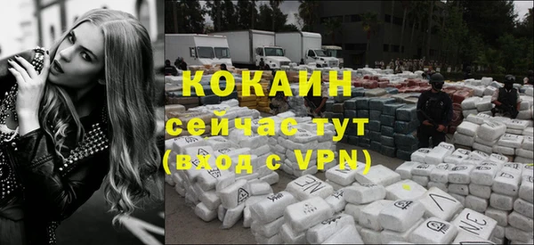 индика Ельня
