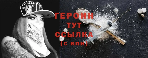 индика Ельня