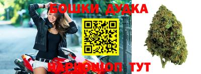 ПСИЛОЦИБИНОВЫЕ ГРИБЫ Аргун