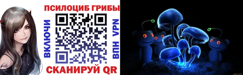 магазин продажи наркотиков  Воронеж  МЕГА ССЫЛКА  Галлюциногенные грибы Psilocybine cubensis 