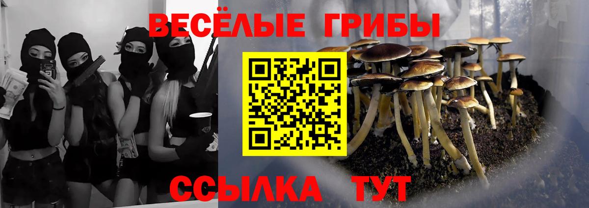 Галлюциногенные грибы GOLDEN TEACHER  Вход с VPN  Россия  Псилоцибиновые грибы Psilocybe 