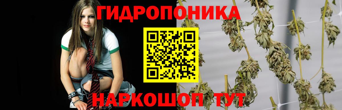 МАРИХУАНА Bruce Banner  Россия  Бошки марихуана конопля  МАРИХУАНА White Widow 